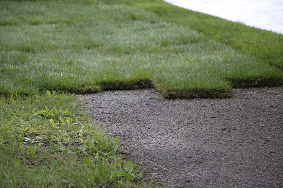 В Петербурге появятся новые зеленые зоны благодаря современным кашпо